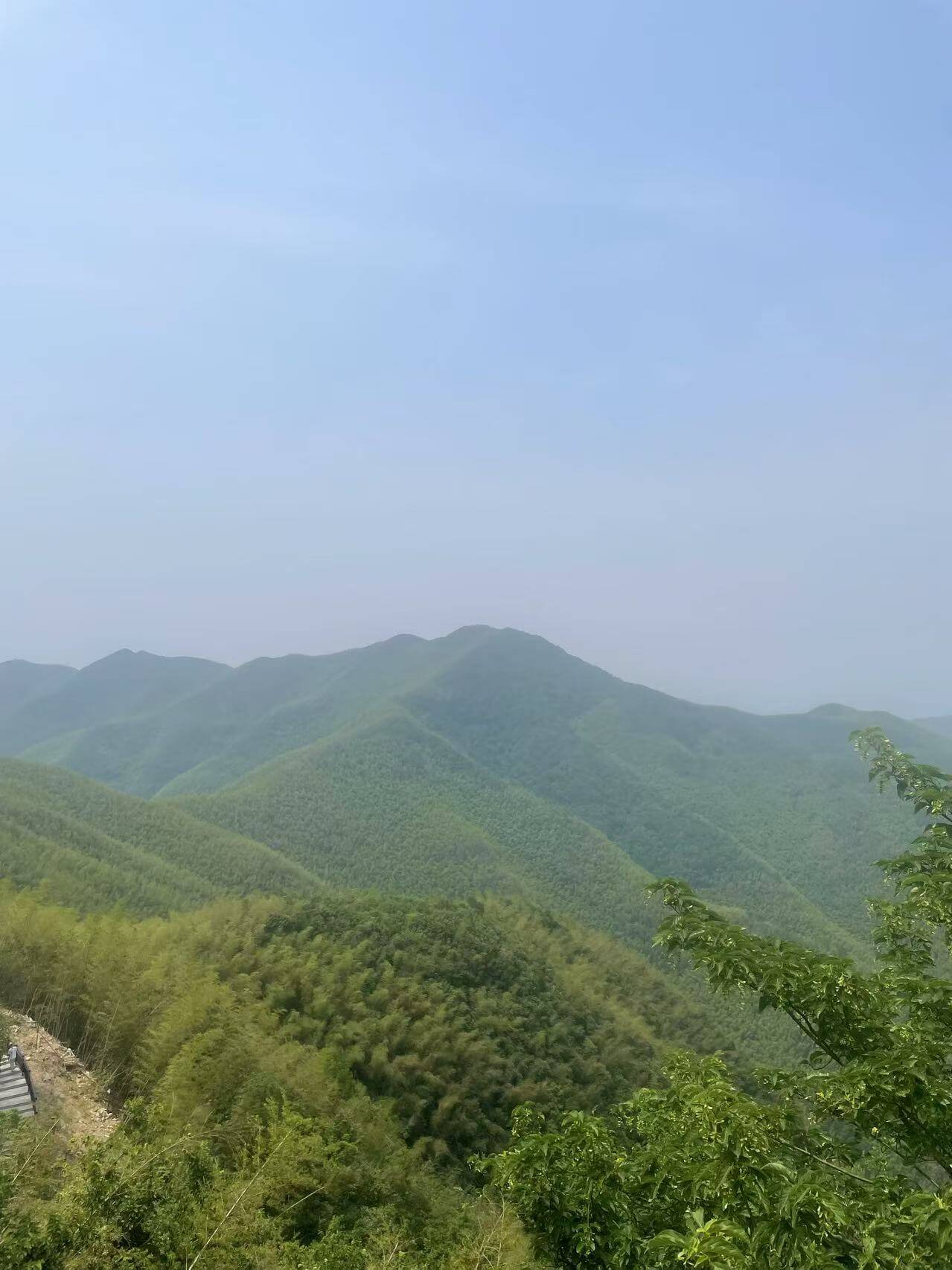 宜兴竹海